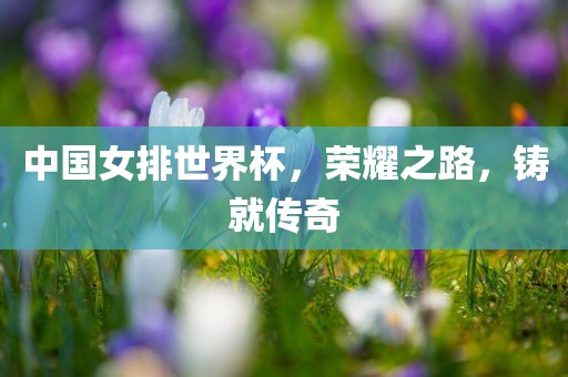 中国女排世界杯，荣耀之路，铸就传奇