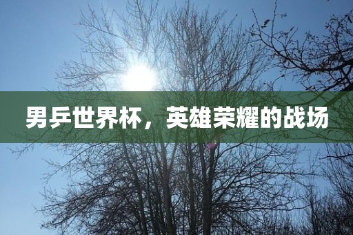男乒世界杯，英雄荣耀的战场