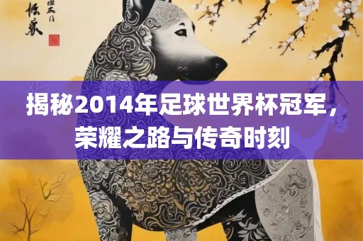揭秘2014年足球世界杯冠军，荣耀之路与传奇时刻