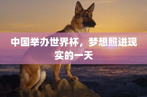 中国举办世界杯，梦想照进现实的一天