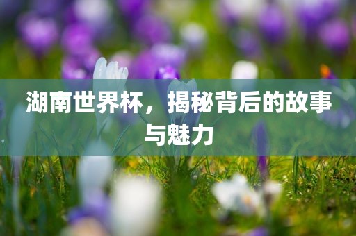 湖南世界杯，揭秘背后的故事与魅力
