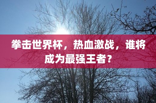 拳击世界杯，热血激战，谁将成为最强王者？