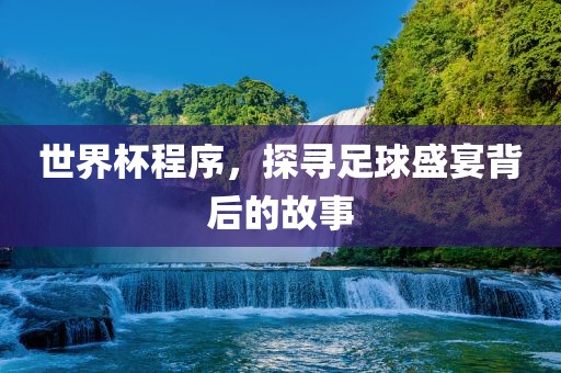 世界杯程序，探寻足球盛宴背后的故事洛阳市法福文化传播有限公司