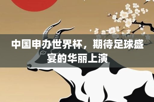 中国申办世界杯，期洛阳市法福文化传播有限公司待足球盛宴的华丽上演