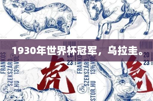 1930年世界杯冠军，乌拉圭。