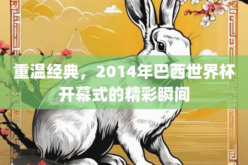 重温经典，2014年巴西世界杯开幕式的精彩瞬间
