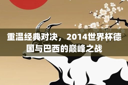 重温经典对决，2014世界杯德国与巴西的巅峰之战