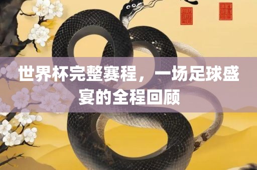 世界杯完整赛程，一场足球盛宴的全程回顾