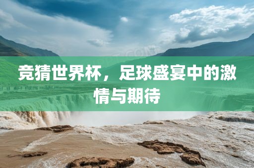 竞猜世界杯，足球盛宴中的激情与期待