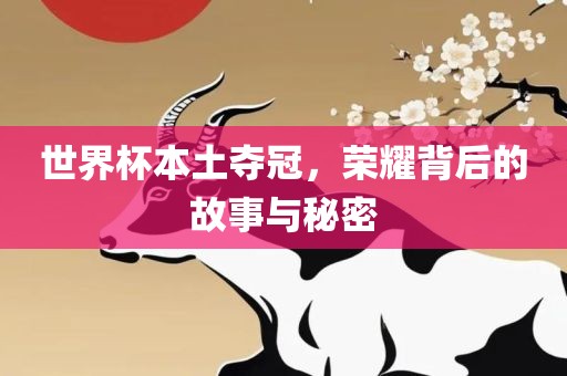 世界杯本土夺冠，荣耀背后的故事与秘密洛阳市法福文化传播有限公司