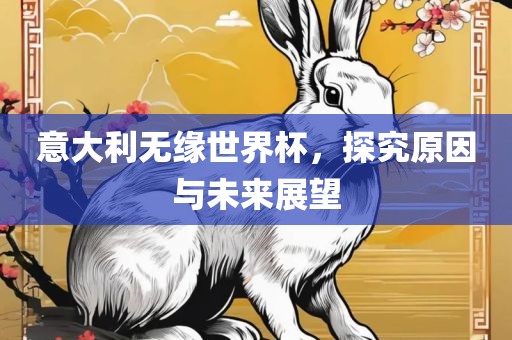 意大利无缘世界杯，探究原因与未来展望