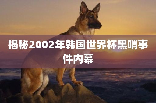 揭秘2002年韩国世界杯黑哨事件内幕洛阳市法福文化传播有限公司