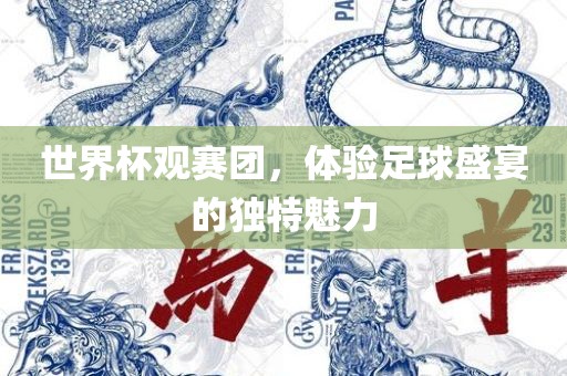 世界杯观赛团，体验足球盛宴的独特魅力