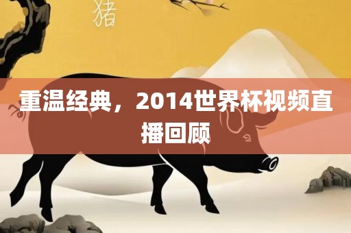 重温经典，2014世界杯视频直播回顾