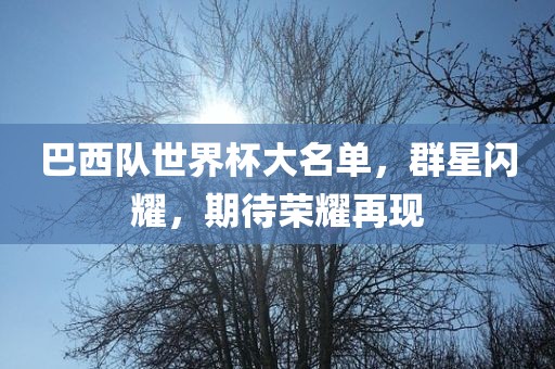 巴西队世界杯大名单，群星闪耀，期待荣耀再现