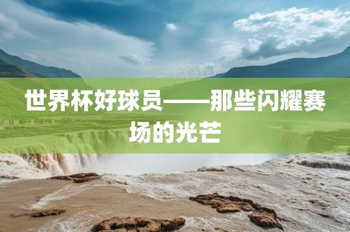 世界杯好球员——那些闪耀赛场的光芒