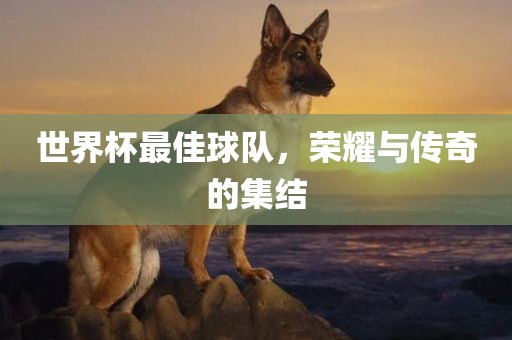 世界杯最佳球队，荣耀与传奇的集结