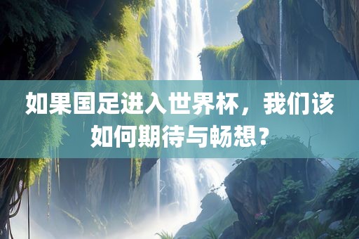 如果国足进入世界杯，我们该如何期待与畅想？