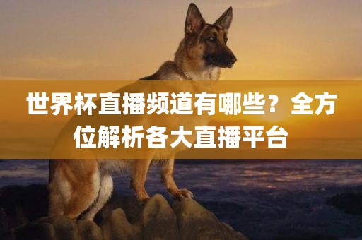 世界杯直播频道有哪些？全方位解析各大直播平台