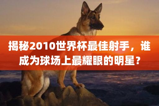 揭秘2010世界杯最佳射手，谁成为球场上最耀眼的明星？