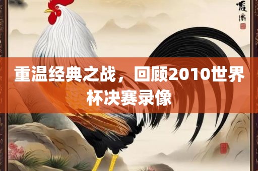 重温经典之战，回顾2010世界杯决赛录像