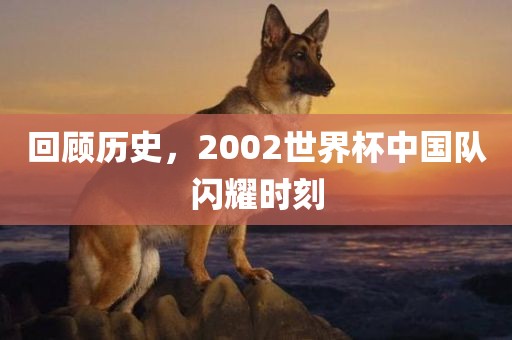 回顾历史，2002世界杯中国队闪耀时刻