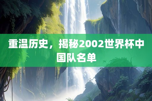重温历史，揭秘2002世界杯中国队名单