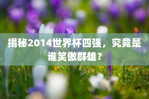 揭秘2014世界杯四强，究竟是谁笑傲群雄？