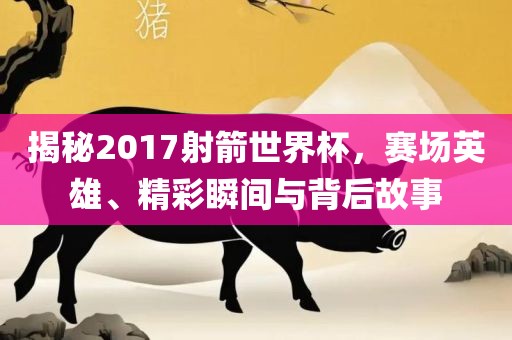 揭秘2017射箭世界杯，赛场英雄、精彩瞬间与背后故事