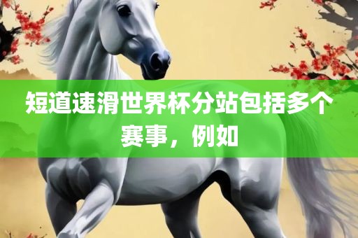 短道速滑世界杯分站包括多个赛事，例如