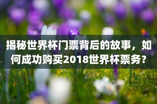 揭秘世界杯门票背后的故事，如何成功购买2018世界杯票务？