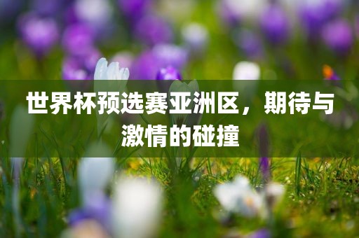 世界杯预选赛亚洲区，期待与激情的碰撞