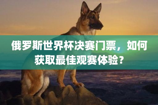 俄罗斯世界杯决赛门票，如何获取最佳观赛体验？