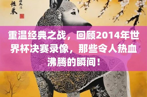 重温经典之战，回顾2014年世界杯决赛录像，那些令人热血沸腾的瞬间！