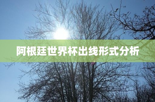 阿根廷世界杯出线形式分析