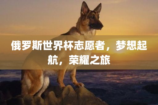 俄罗斯世界杯志愿者，梦想起航，荣耀之旅