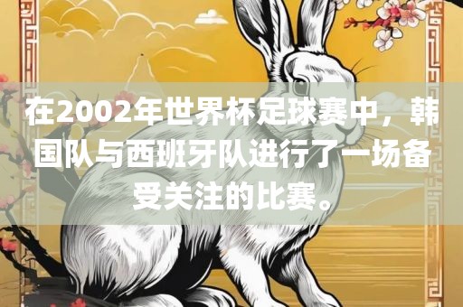 在2002年世界杯足球赛中，韩国队与西班牙队进行了一场备受关注的比赛。