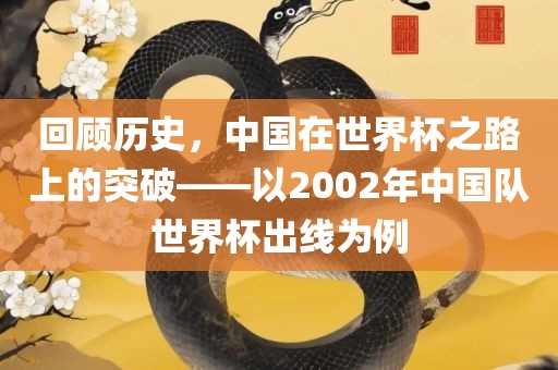 回顾历史，中国在世界杯之路上的突破——以2002年中国队世界杯出线为例