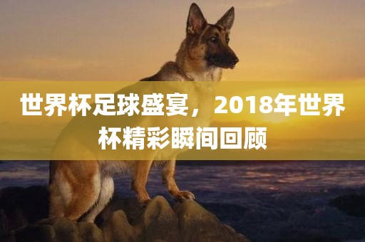 世界杯足球盛宴，2018年世界杯精彩瞬间回顾洛阳市法福文化传播有限公司