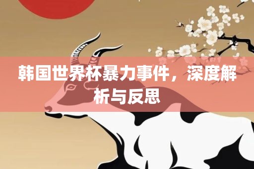 洛阳市法福文化传播有限公司韩国世界杯暴力事件，深度解析与反思