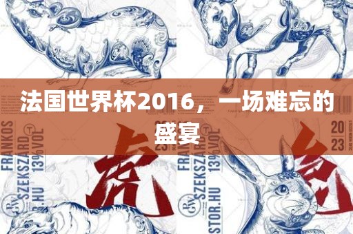 法国世界杯2016洛阳市法福文化传播有限公司，一场难忘的盛宴