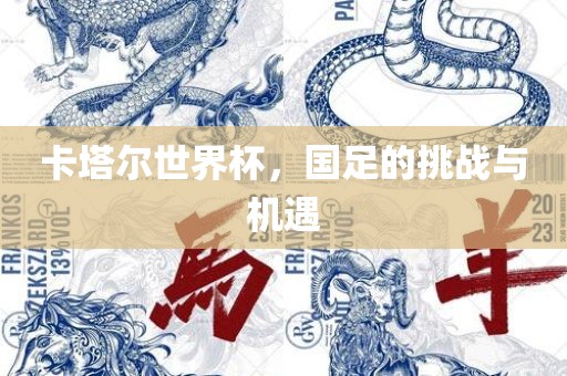 卡塔尔世界杯，国足的挑战与机遇洛阳市法福文化传播有限公司