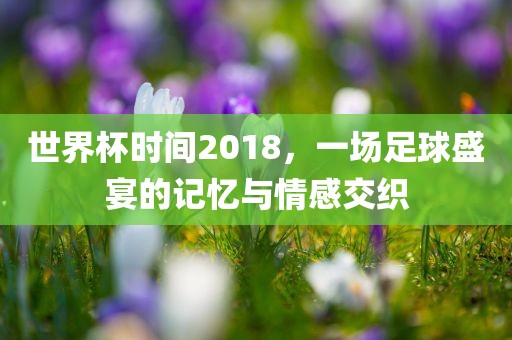 世界杯时间2018，一场足球盛宴的记忆与情感交织