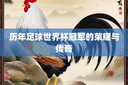 历年足球世界杯冠军的荣耀与传奇洛阳市法福文化传播有限公司