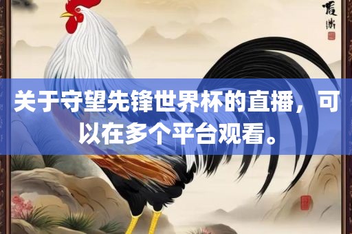 关于守望先锋世界杯的直播，可以在多个平台观看。