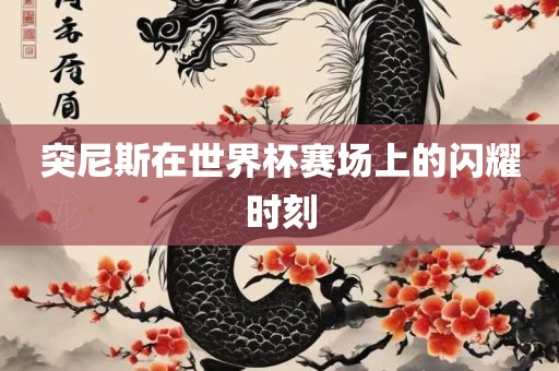 突尼斯在世界杯赛场上的闪耀时刻洛阳市法福文化传播有限公司