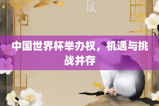 中国世界杯举办权，机遇与挑战并存