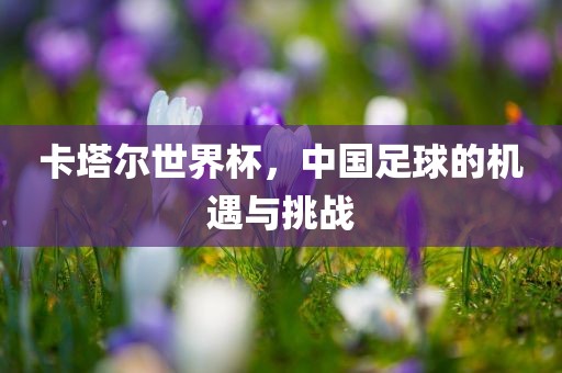 卡塔尔世界杯，中国足球的机遇与挑战