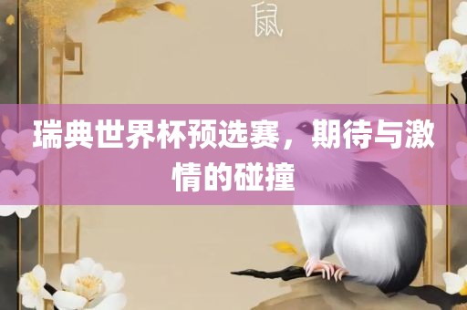 瑞典世界杯预选赛，期待与激情的碰撞
