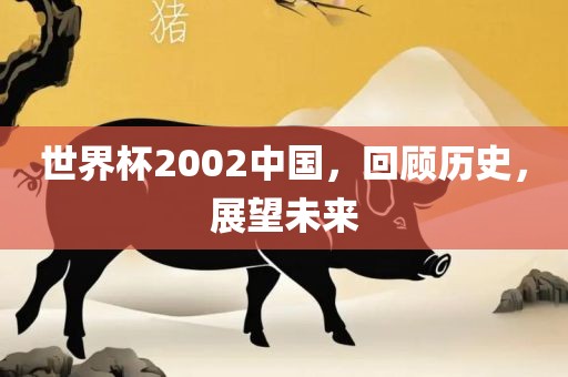 世界杯2002中国，回顾历史，展望未来